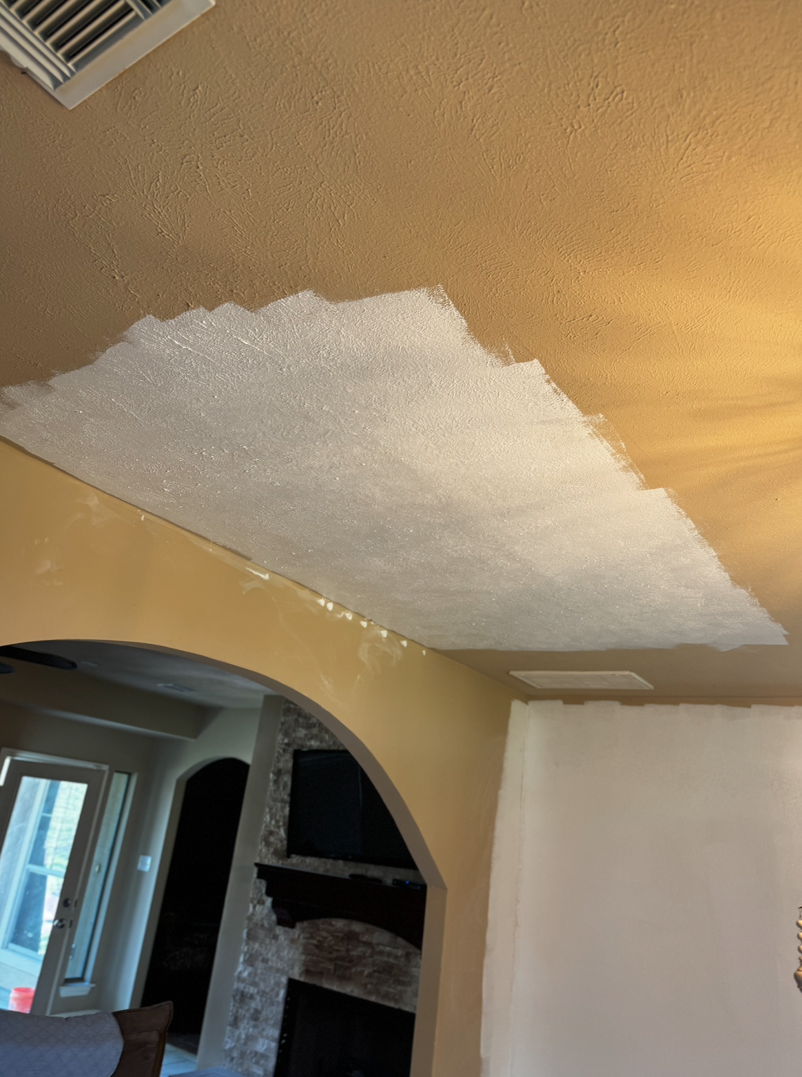 Ceiling repair 2
